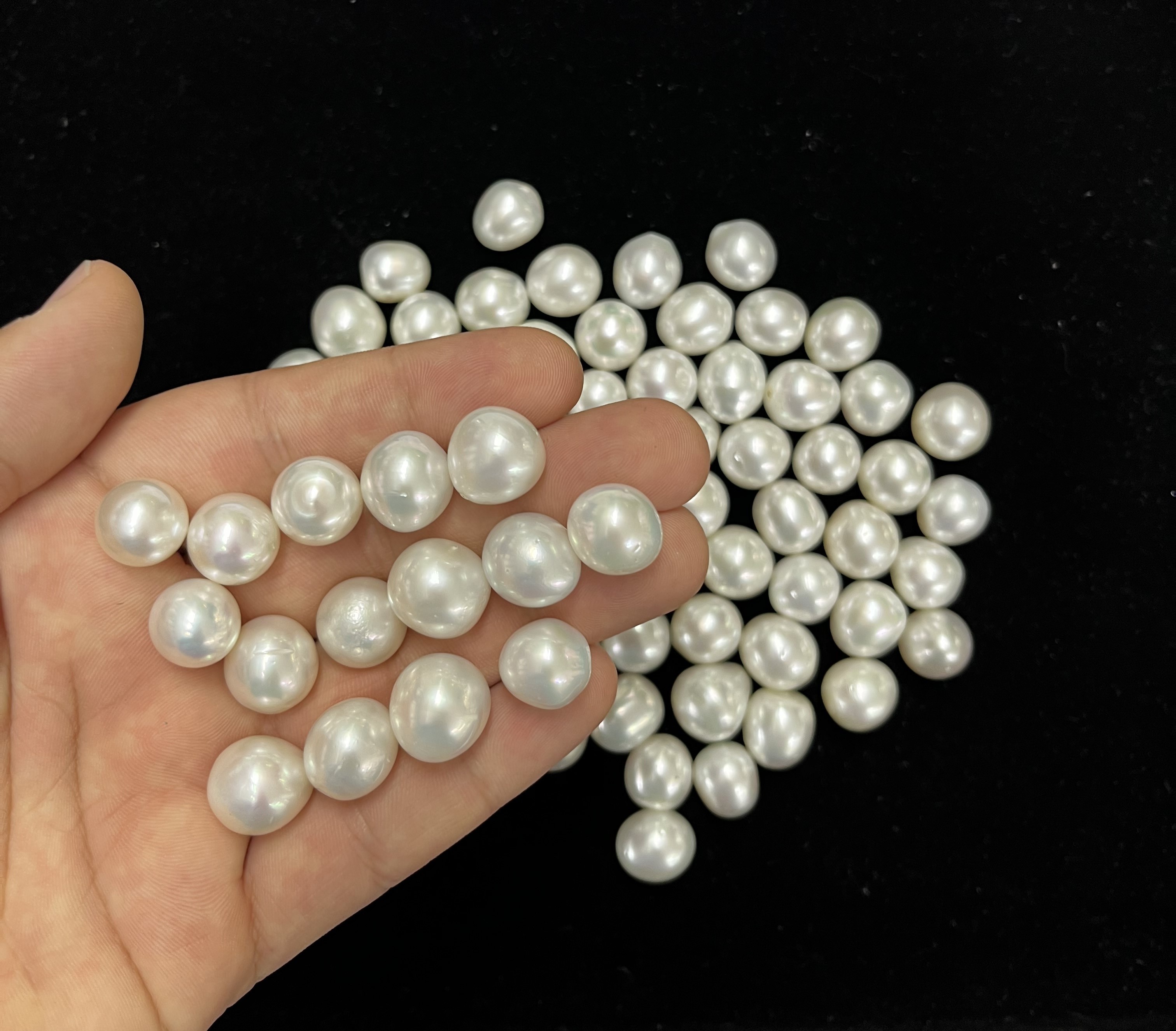 White South Sea Pearls